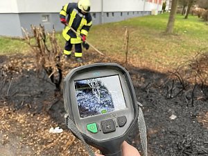 Heckenbrand in Heringen