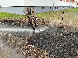 Heckenbrand in Heringen