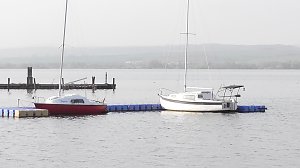 Fr&uuml;hling am Stausee 