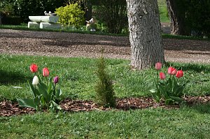 Fr&uuml;hling am Stausee 