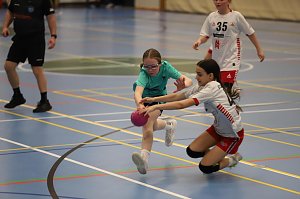 Bronze f&uuml;r NSV-Handballer beim Turnier der Superlative in Kolding