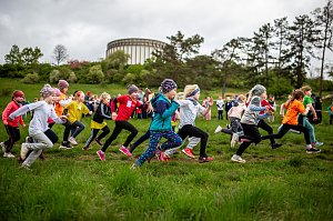 Crosslauf am Schlachtenberg bei Bad Frankenhausen