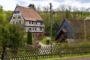 Fr&uuml;hjahrswanderung bei Auleben