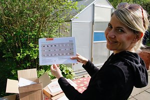 Die Gem&uuml;seackerdemie am F&ouml;rderzentrum Pestalozzi
