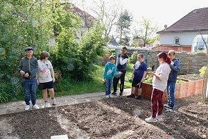 Die Gem&uuml;seackerdemie am F&ouml;rderzentrum Pestalozzi