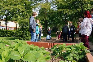 Die Gem&uuml;seackerdemie am F&ouml;rderzentrum Pestalozzi