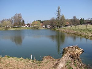 L&auml;mmer ausgetrieben