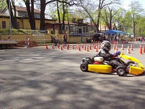Kart im Gehege