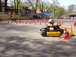 Kart im Gehege