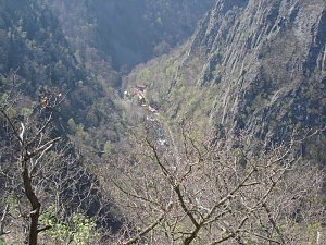 Tag im Harz