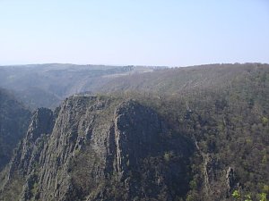 Tag im Harz