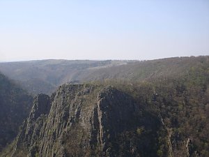 Tag im Harz