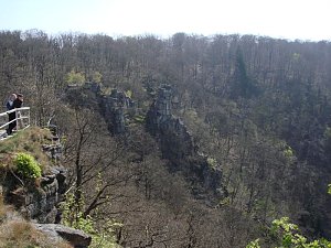 Tag im Harz
