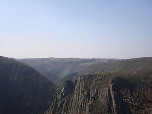 Tag im Harz