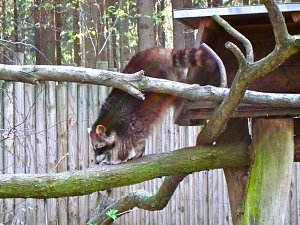 Tag im Harz