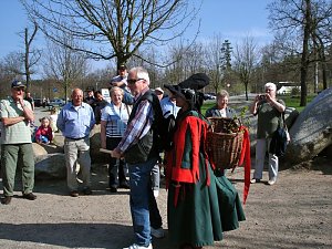 Tag im Harz