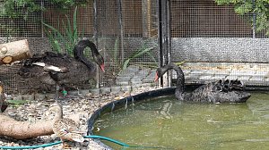 Offener Garten in Uthleben