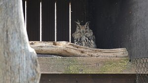 Offener Garten in Uthleben