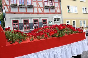 Farbenfroher Festumzug zum 211. Brunnenfest in Bad Langensalza