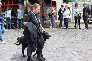 Farbenfroher Festumzug zum 211. Brunnenfest in Bad Langensalza
