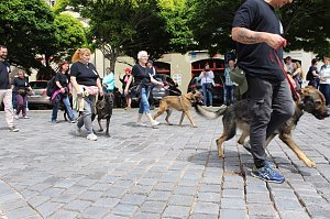 Farbenfroher Festumzug zum 211. Brunnenfest in Bad Langensalza