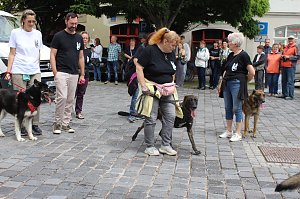 Farbenfroher Festumzug zum 211. Brunnenfest in Bad Langensalza