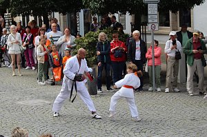 Teilnehmerinnen und Teilnehmer des Festumzuges zum 211. Brunnenfest in Bad Langensalza 