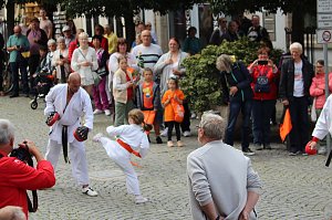 Teilnehmerinnen und Teilnehmer des Festumzuges zum 211. Brunnenfest in Bad Langensalza 
