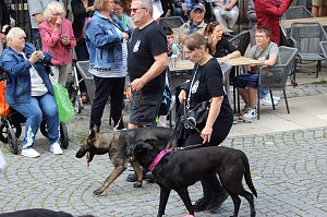 Teilnehmerinnen und Teilnehmer des Festumzuges zum 211. Brunnenfest in Bad Langensalza 