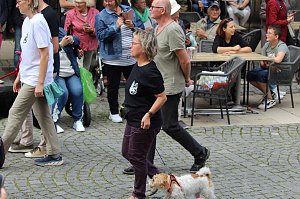 Teilnehmerinnen und Teilnehmer des Festumzuges zum 211. Brunnenfest in Bad Langensalza 