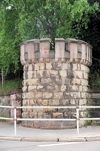 Peter Blei unterwegs auf Schwanensuche