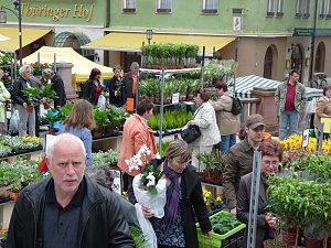 Pflanzenmarkt Sondershausen
