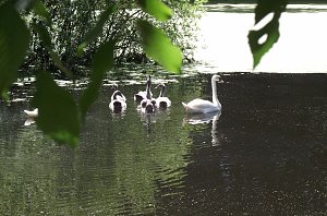 Bei Steinsee unterwegs