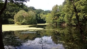 Bei Steinsee unterwegs