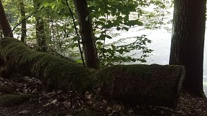 Bei Steinsee unterwegs