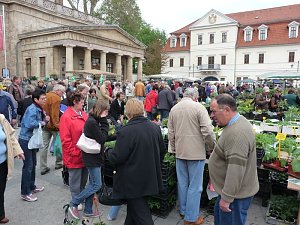 Pflanzenmarkt Sondershausen