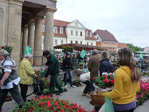 Pflanzenmarkt Sondershausen