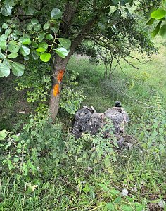 Schwerer Quad-Unfall in Niedersachswerfen