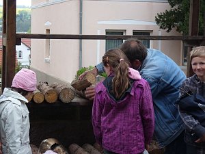 Bau eines Insektenhotels