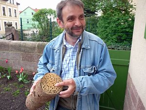 Bau eines Insektenhotels