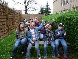 Bau eines Insektenhotels