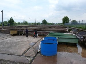 Fischerfest Auleben