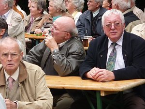 Feier im Park