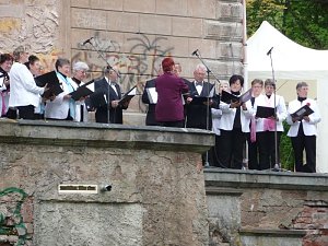 Feier im Park
