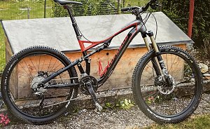 Bild des gestohlenen Bikes
