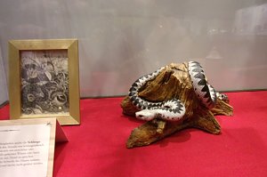 Ausstellungereröffnung im Tabakspeicher