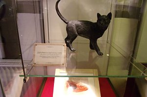 Ausstellungereröffnung im Tabakspeicher