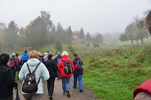 Der Harzklub auf Kranichwanderung