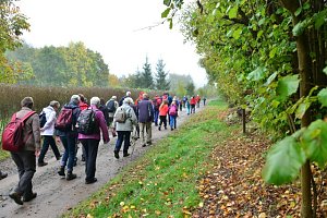 Der Harzklub auf Kranichwanderung