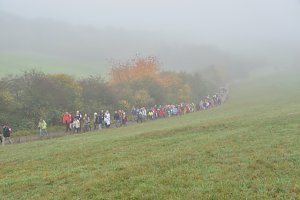 Der Harzklub auf Kranichwanderung